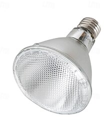 abordables -Ampoules halogènes PAR30 pour projecteurs, ampoule halogène à long col de 75 W, 2 700 K, blanc chaud, intensité variable, haute luminosité, idéales pour l'éclairage d'accentuation, ampoule encastrée