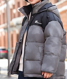 billiga -Barn Unisex Dunjacka Friluftsjacka Pufferjacka Ytterkläder Färgblock Långärmad Håller värmen Vindtät Täcka Utomhus Dagligen Grundläggande Svart Grön Grå Höst Vinter 4 år +