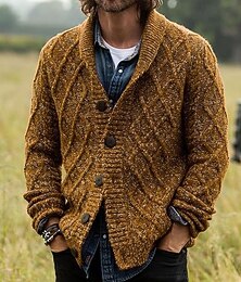 preiswerte -Herren Pullover Strickjacke Zopfmuster Stricken Kurz Gestrickt Einfach Schalkragen Urlaub Mode Lässig Alltagskleidung Bekleidung Herbst Frühling & Herbst Braun M L XL