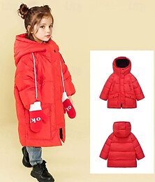 abordables -Niños Chica Plumón Color sólido Moda Bolsillo Escuela Abrigo Ropa de calle 4-12 años Otoño Negro Rojo Morado