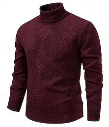 abordables -Homme Pull Pull Tricoté Côtelé Tricoter Hauts Réguliers Tricoté Uni Col roulé Mode Basique Vacances Tenue quotidienne Vêtement Tenue Automne Hiver Vin Noir S M L