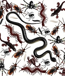 abordables -Ensemble de 148 insectes en plastique réalistes - araignées, cafards et serpents effrayants pour Halloween&amp;décorations du 1er avril