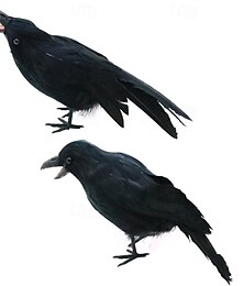 economico -Confezione da 2 corvi neri piumati di Halloween, corvi neri con vere piume, decorazione di Halloween per interni ed esterni (26*6*12 cm)