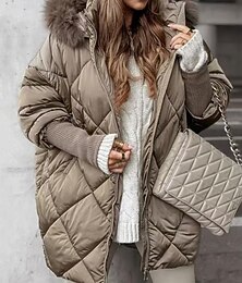preiswerte -Damen Daunenjacke Steppjacke Freizeitjacke Warm Bequem Reißverschluss Tasche Mode Lässig Einfach Straße Alltagskleidung Ausgehen Reisverschluss Regulär Mit Kapuze Normale Passform Langarm