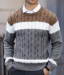 abordables -Homme Pull Robe pull Pull Tricoté Côtelé Torsadé Tricoter Hauts Réguliers Bloc de Couleur Tricoté Abstrait Col ras du cou Moderne Moderne Contemporain Occasionnel Tenue quotidienne Vêtement Tenue