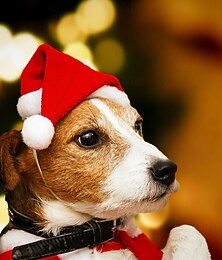 economico -cappello natalizio per cani, mini cappello da Babbo Natale in peluche rosso, accessorio per costumi festivi, grazioso vestito per animali domestici, festa &oggetto di scena per foto