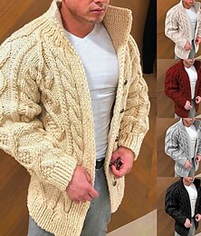 abordables -Homme Pull en maille torsadée Pull Gilet Cardigan Torsadé Tricoter Hauts Réguliers Tricoté Uni Col montant Moderne Contemporain Occasionnel Occasionnel Fête Vêtement Tenue Printemps Automne & Hiver