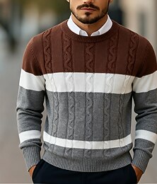 abordables -Homme Pull Robe pull Pull Tricoté Côtelé Torsadé Tricoter Hauts Réguliers Bloc de Couleur Tricoté Rayé Col ras du cou ancien Moderne Occasionnel Tenue quotidienne Vêtement Tenue Automne Automne