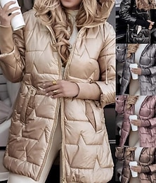 preiswerte -Damen Daunenjacke Steppjacke Freizeitjacke Warm Bequem Reißverschluss Tasche Mode Lässig Einfach Straße Alltagskleidung Ausgehen Reisverschluss Regulär Mit Kapuze Normale Passform Langarm