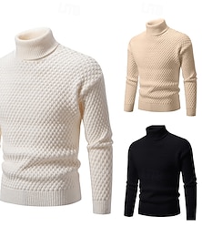 abordables -Hombre Pulóveres Suéter de punto Estriado Tejer Tops regulares De Punto Ajustado Plano Cuello Alto Prendas de punto Moderno Casual Ropa Cotidiana Ropa Otoño Negro Blanco M L XL