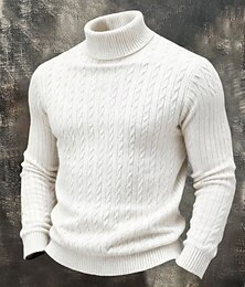preiswerte -Herren Pullover Strickpullover Gerippt Stricken Normale Oberteile Gestrickt Einfarbig Rollkragen Mode Streetwear Lässig Alltagskleidung Bekleidung Herbst Winter Schwarz Weiß S M L