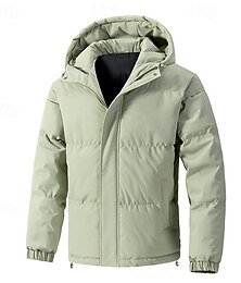 Недорогие -Муж. Зимнее пальто Пуховик Стеганая куртка Карман Полиэстер Отпуск На каждый день Свидание Обычная Мода На каждый день Удобный Сохраняет тепло Осень Зима Сплошной/однотонный цвет