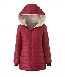preiswerte -Damen Wintermantel Daunenjacke Steppjacke Warm Bequem Reißverschluss Tasche Lässig Einfach Outdoor Urlaub Straße Alltagskleidung Regulär Mit Kapuze Normale Passform Langarm Oberbekleidung Marineblau