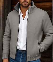 ieftine -Bărbați Pulover Pulover Cardigan Pulover cu fermoar Jachetă de pulover Pulover din lână Striat Tricotat Topuri obișnuite Stil Clasic Lână  Culoare solidă Gât Înalt Clasic & Fără Vârstă Șic & Modern