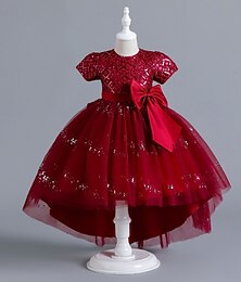 preiswerte -Blumenmädchenkleid Mädchen Formelle Kleidung Hochzeitskleidung Party Hochzeit Formell Mode Niedlich Prinzessin Patchwork Netz Einfarbig Kurzarm Rundhalsausschnitt Blau Rosa Ab 4 Jahren
