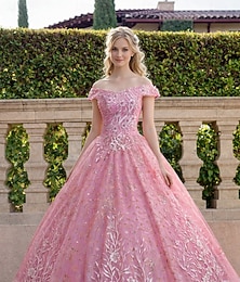 preiswerte -Ballkleid A-Linie Bodenlang Abiballkleider Elegant Prinzessin Ärmellos Schulterfrei Abschlussball Abendgesellschaft Spitze Rückenfrei mit Falten Paillette