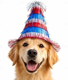 abordables -Cône de chapeau de fête - amusant &cornets en papier festifs pour animaux de compagnie et enfants