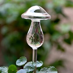 Image of impianto di irrigazione spike vetro a forma di fungo bulbo di irrigazione automatica della pianta, per l'irrigazione di piante in vaso per le vacanze Lightinthebox