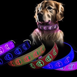 dierbenodigdheden lichtgevende halsband schedelhoofd oplaadbare halsband voor honden waterdichte halsband voor honden knipperende hondenketting lichtgevende halsband Lightinthebox