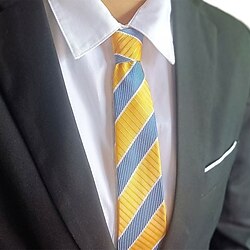 Image of Cravatta da uomo da 1 pezzo, larghezza 8 cm, cravatta da sposo a righe arancione blu, cravatta da manager aziendale Lightinthebox