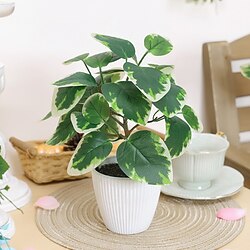 Image of Migliora l'arredamento della tua casa con realistiche piante in vaso di eucalipto, aggiungendo un tocco verde rinfrescante al tuo spazio abitativo Lightinthebox