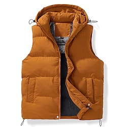 Light in the box Voor heren Puffervest Hoodievest Gewatteerd vest Dagelijks Afspraakje Vakantie Modieus Casual Herfst winter Zak Polyester Houd Warm Comfortabel Effen Kleur Rits Capuchon Normale pasvorm Zwart Bruin