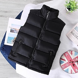 Light in the box Voor heren Puffervest Gewatteerd Gewatteerd vest Dagelijks Afspraakje Vakantie Modieus Casual Herfst winter Zak Polyester Houd Warm Comfortabel Effen Kleur Rits Opstaand Normale pasvorm Zwart Wit