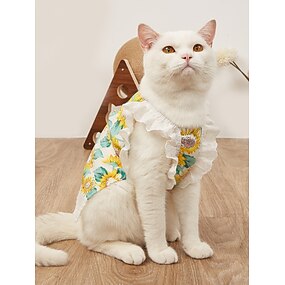 cat clothes online