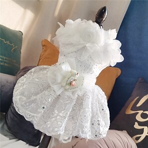 dog baptism outfit