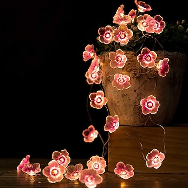 20 warmes weiß LED weiß Frangipani Blumen Für drinnen Valentin Lichterkette 