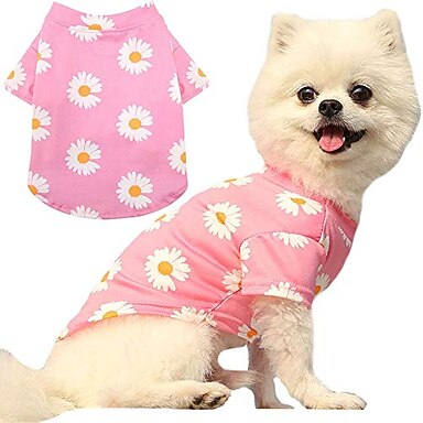 cheap puppy clothes
