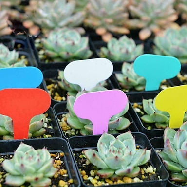 100 Pcs Plastic Plant Seed Labels Pot Marker Nursery Garden Stake Tags 10cm 15cm 