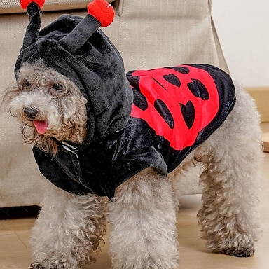 1Pc Disfraz de Halloween para mascotas perro de impresión de cabeza divertida con Calavera Suéter de suministros para mascotas 