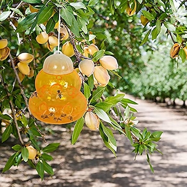 Trampa Para Avispas Para Colgar Al Aire Libre Trampa Para Abejas Para