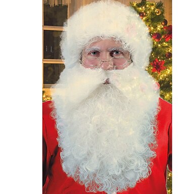 Christmas Party wigs Santa S Wig W Beard 2024 29.99