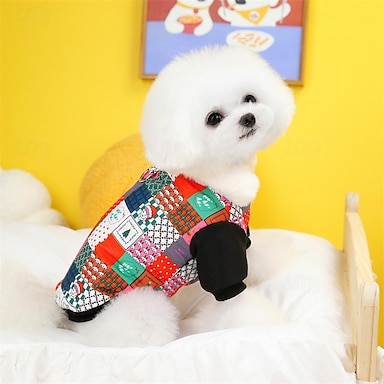 Dog Clothing & Accessories | Refresh your wardrobe at an affordable price