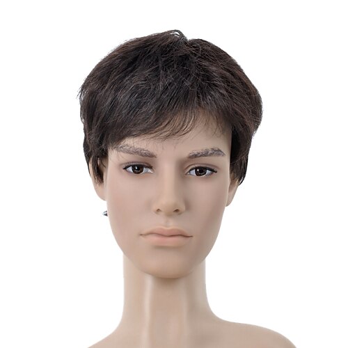 Men's wig Wig for Women Straight Costume Wig Cosplay Wigs