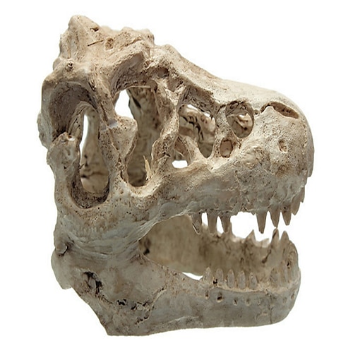 

Fish Tank Aquarium Decoration Ornament Dinosaur Beige Adjustable Noiseless Artificial Resin 1 pc