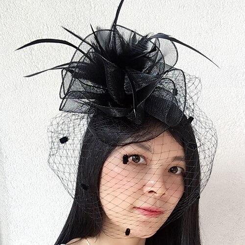 

Fjær / Nett fascinators / Fugleburslør med 1 Bryllup / Spesiell Leilighet / Melbourne Cup Hodeplagg