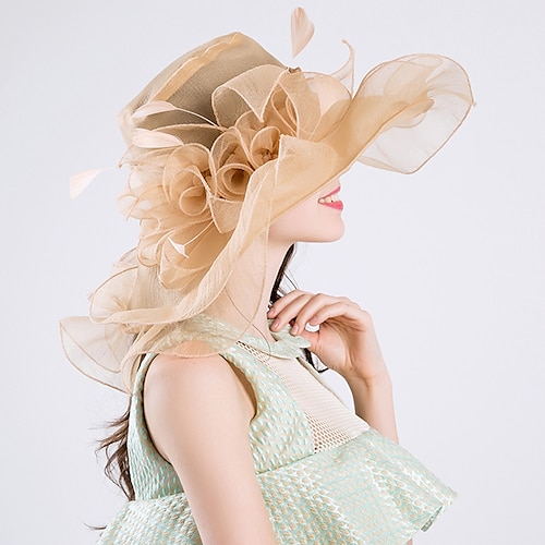 

Feather / Silk / Organza Kentucky Derby Hat / Fascinators / Hats with 1 Piece Wedding / Outdoor / Special Occasion Headpiece