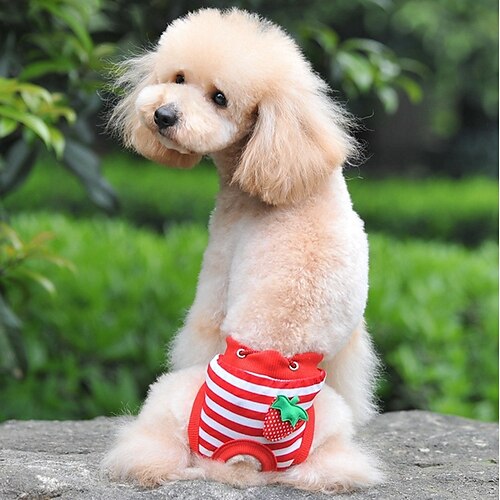 

Dog Cat Pants Puppy Clothes Striped Fruit Sweet Style Unique Design Dog Clothes Puppy Clothes Dog Outfits White Red Blue Costume for Girl and Boy Dog Cotton S M L XL