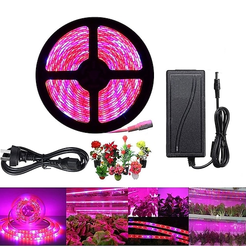 

5m LED Grow Lights for Indoor Plants Growing Light Fixture Growing Strip Lights 300 LEDs 5050 SMD 12V 6A Adapter 4 Red1 Blue 5Red1Blue 3Red1Blue Waterproof Cuttable Decorative 110-240 V