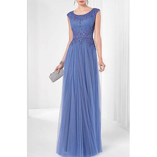 

A-Line Evening Dresses Elegant Dress Formal Evening Floor Length Sleeveless Scoop Neck Tulle with Pleats Lace Insert Appliques 2022