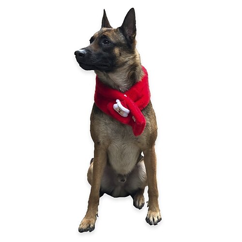 

Dog Cat Dog Scarf Dog Birthday Bandana Hat Solid Colored Casual / Daily Winter Dog Clothes Puppy Clothes Dog Outfits White / Red Red / Green Gray Costume for Girl and Boy Dog Plush One-Size