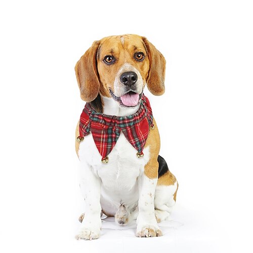 

Dog Cat Collar Dog Scarf Plaid / Check Color Block Fashion Dog Clothes Puppy Clothes Dog Outfits Red / Green Costume for Girl and Boy Dog Fabric S M