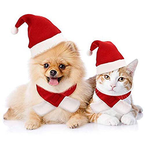 

Cat Christmas Hat With Muffler, Pet Dog Santa Hat And Scarf Christmas Costume For Puppy Kitten Cats And Dogs