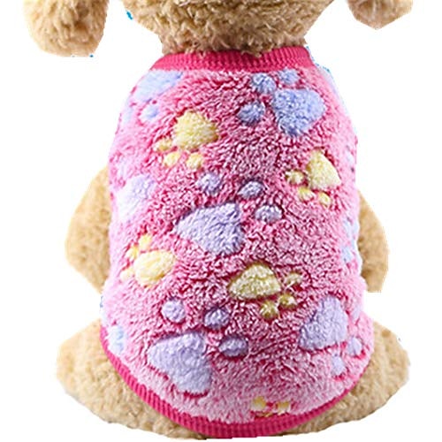 

teddy dog teacup dogs cartoon flannel warm sweater clothes