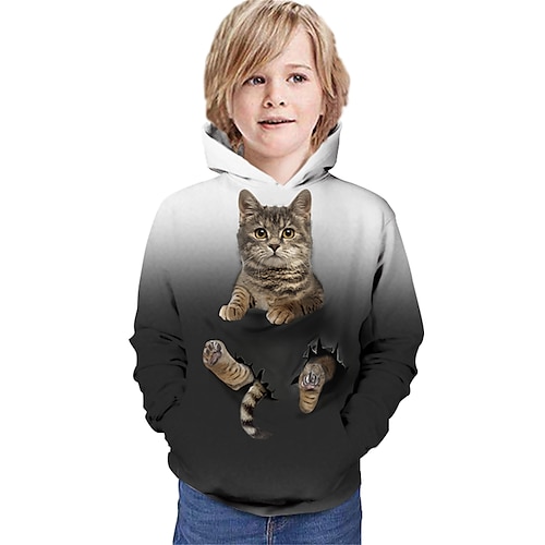 

Kids Boys Graphic 3D Print Long Sleeve Active Gray
