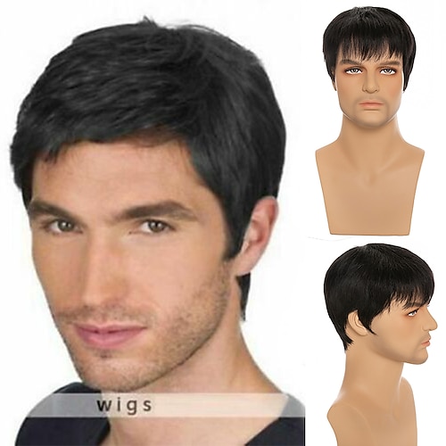 

Men Wigs Natura Color Short Straight 5%Synthetic Hair Wig Black Natural Daily Wig for Young Boy