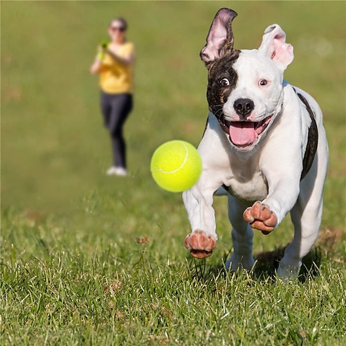 

palline da tennis per animali domestici per cani (giocattoli per cani sicuri per animali domestici per lanciatore di palline da allenamento) giocattoli interattivi per cani dai colori vivaci per cani